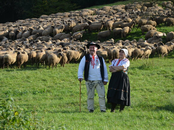 Ovčie mlieko - Agrofarma Červený kameň